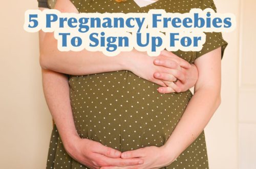 pregnancy freebies